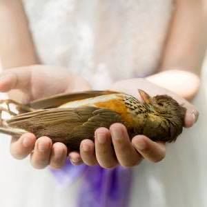 Meet your Posher, Juliette